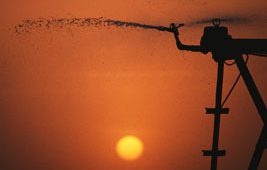 Synagro Careers