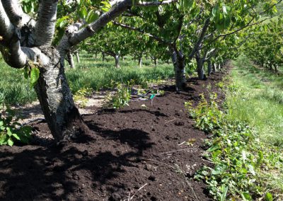 Synagro - Compost Application