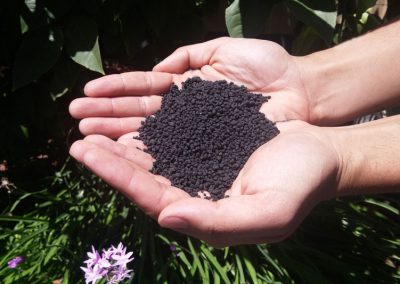 Granulite Fertilizer Pellets