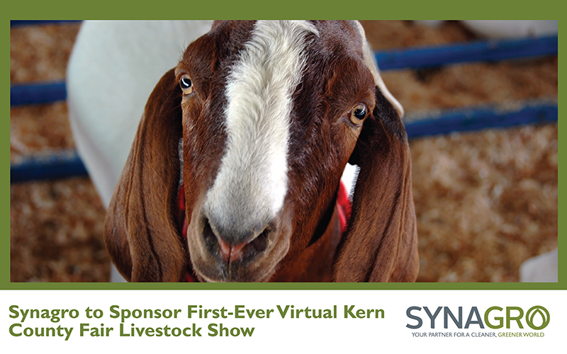 Synagro to Sponsor First-Ever Virtual Kern County Fair Livestock Show