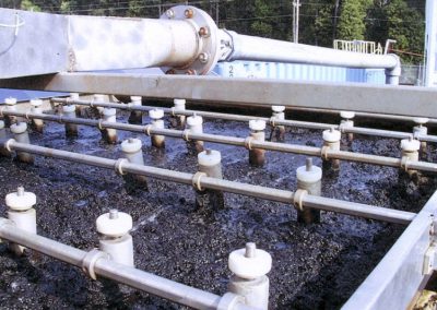 alkaline-stabilization-01-400x284
