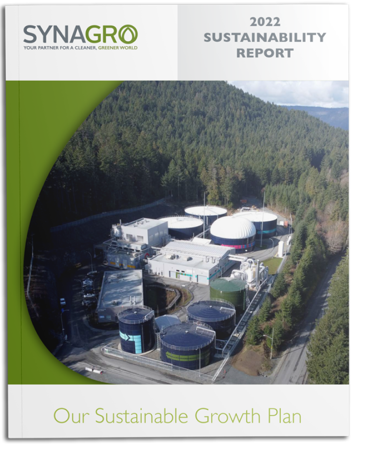 Our Sustainable Growth Plan