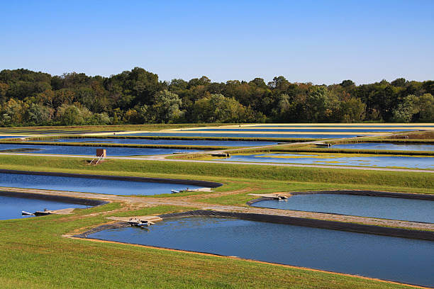 Lagoon Wastewater Treatment Application