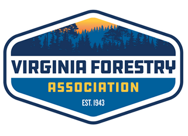 vfa logo