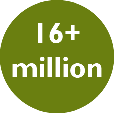 Icon-16+ million