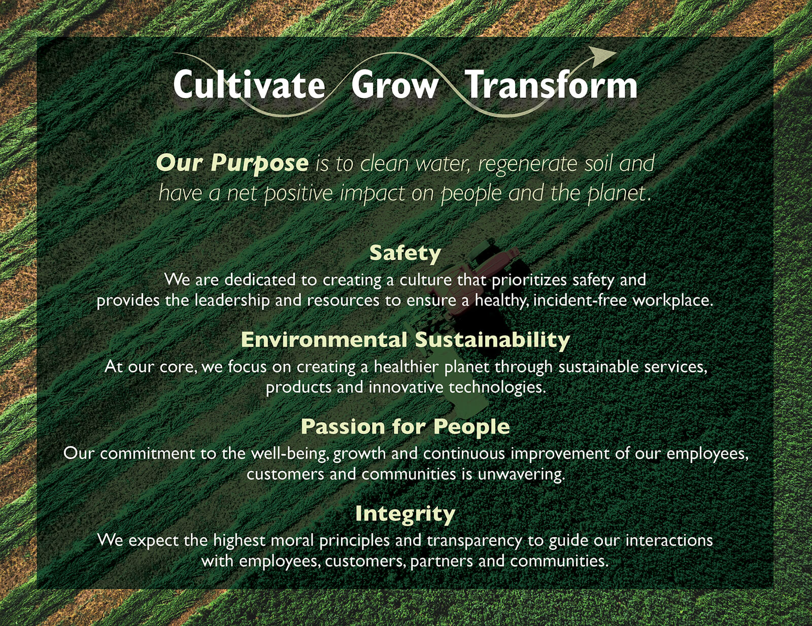 Our Purpose and Values_Horizontal